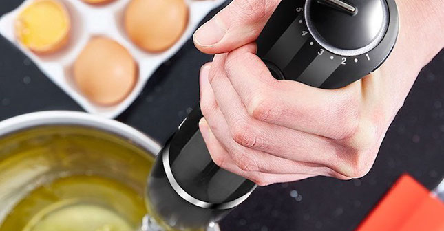 Oxa Stabmixer Regler