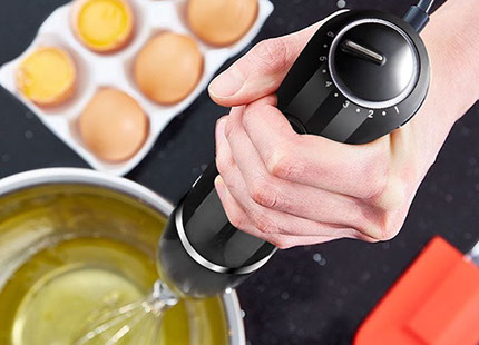 Oxa Stabmixer Regler